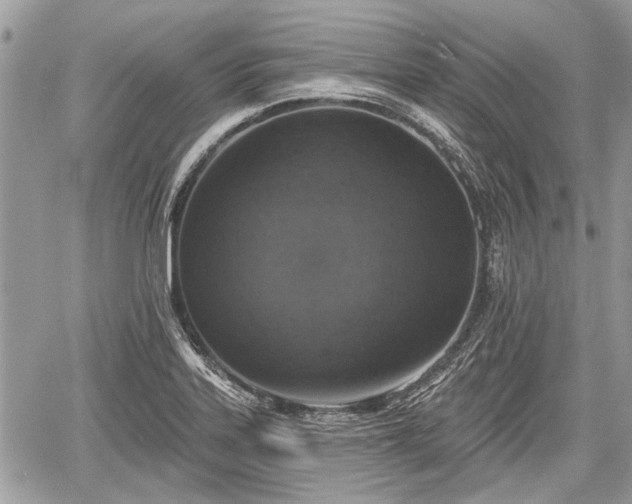 X0000060761323200511141221