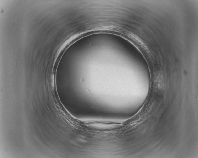 X0000060761324200511141221