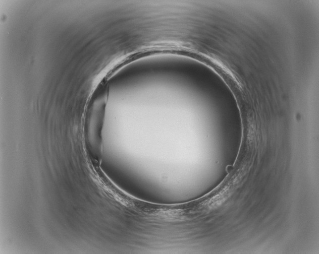 X0000060761325200511141221