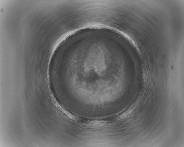 X0000060761327200511141221