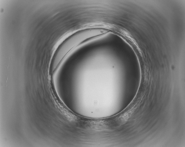 X0000060761328200511141221