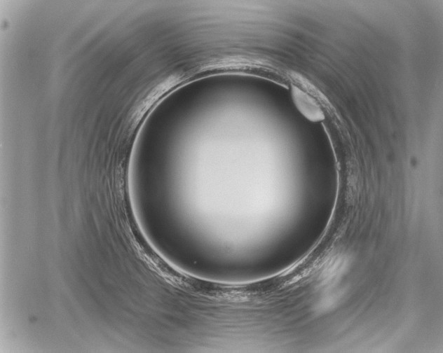 X0000060761329200511141221