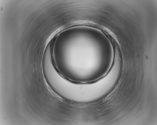 X0000060761330200511141221