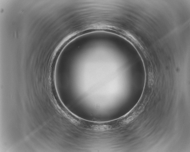 X0000060761331200511141221