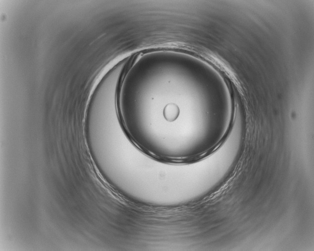 X0000060761332200511141221