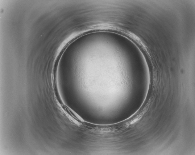 X0000060761334200511141221