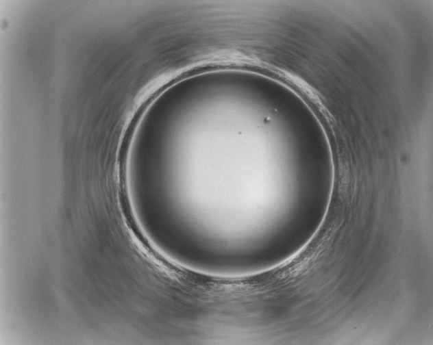 X0000060761335200511141221