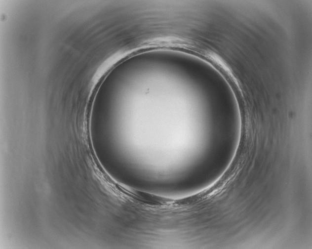 X0000060761336200511141221