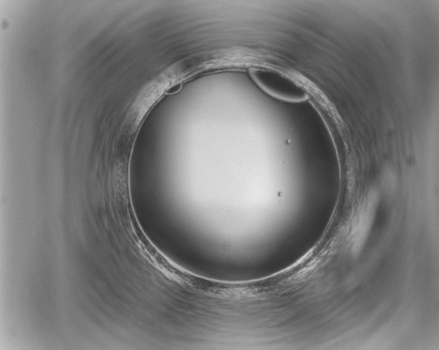 X0000060761337200511141221