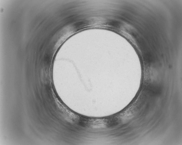 X0000060761338200511141221