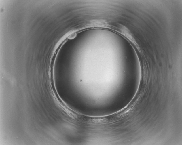 X0000060761339200511141221