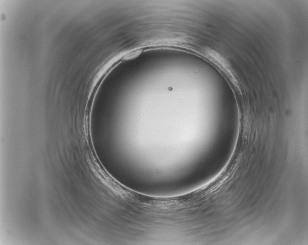 X0000060761340200511141221