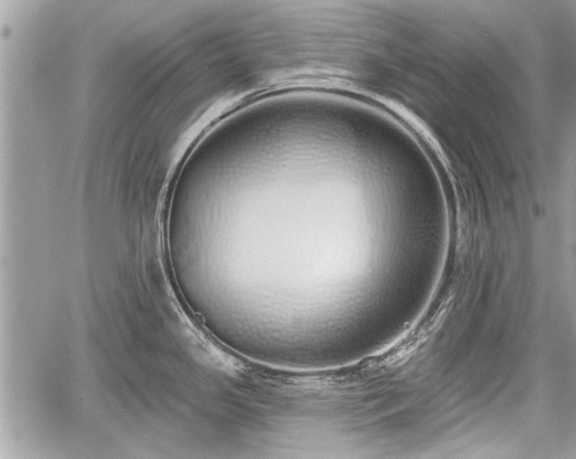 X0000060761341200511141221