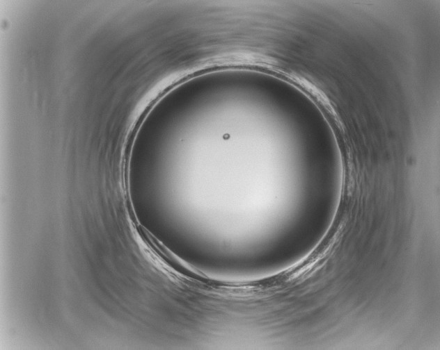 X0000060761342200511141221