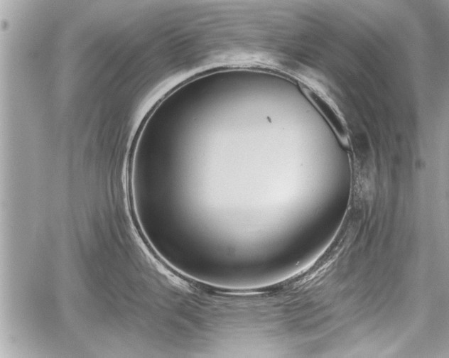 X0000060761343200511141221