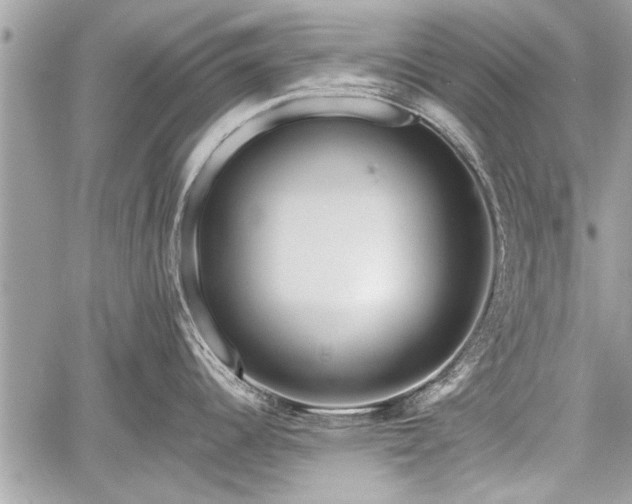 X0000060761344200511141221