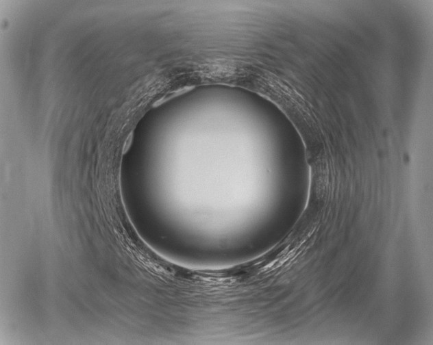 X0000060761345200511141220