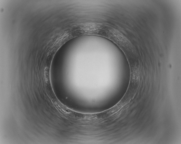 X0000060761346200511141220