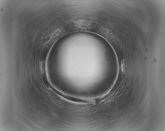 X0000060761347200511141220