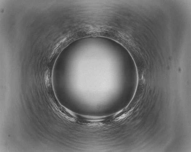 X0000060761348200511141220