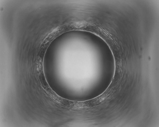 X0000060761349200511141220