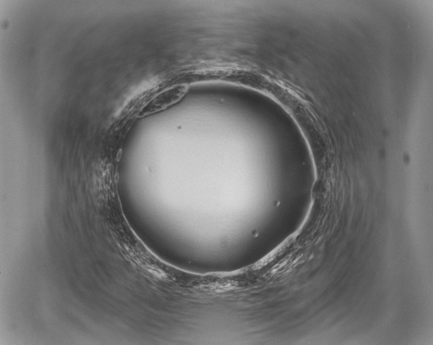 X0000060761351200511141220