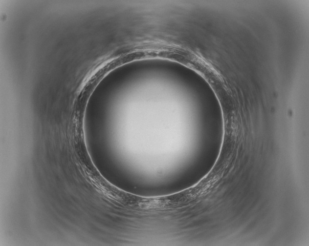 X0000060761352200511141220