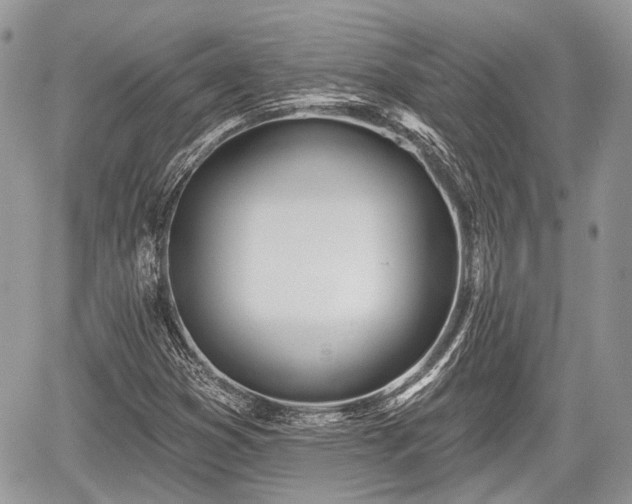 X0000060761353200511141220