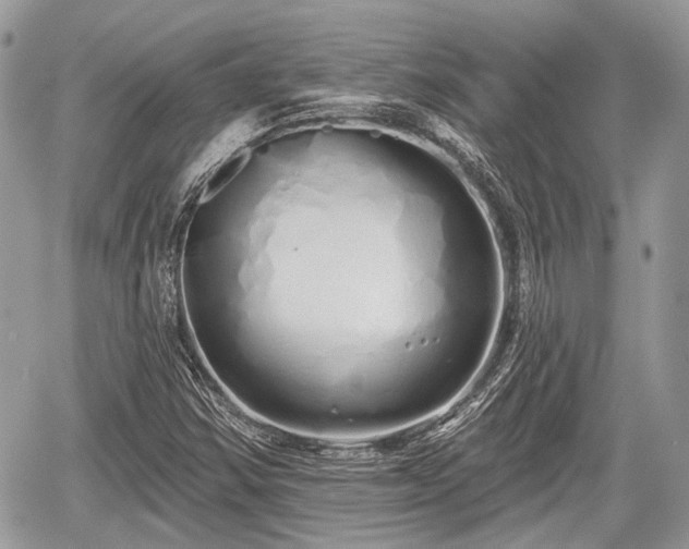 X0000060761354200511141220