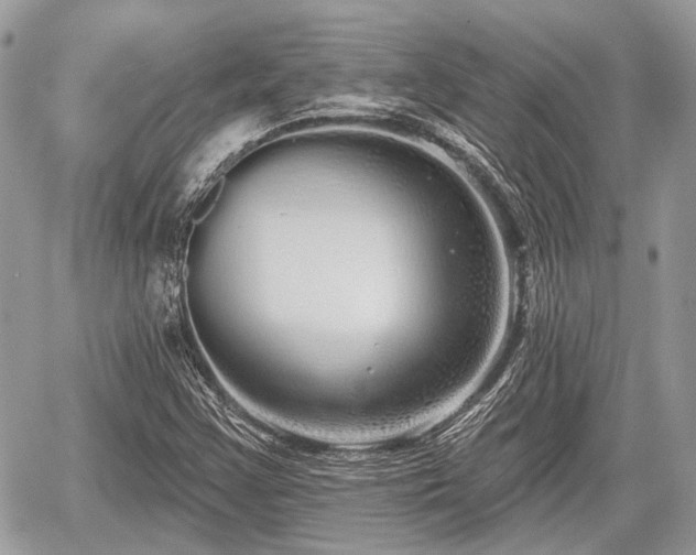 X0000060761355200511141220