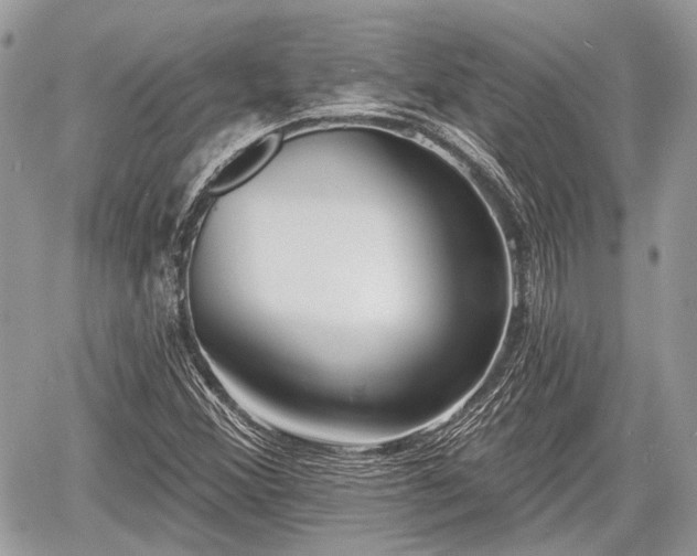 X0000060761356200511141220