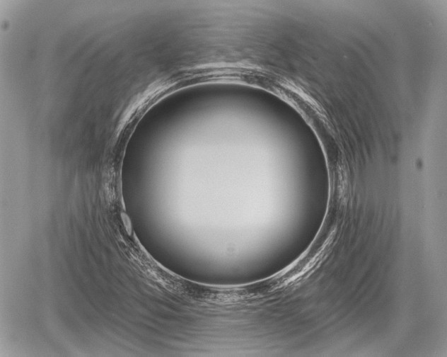 X0000060761357200511141220