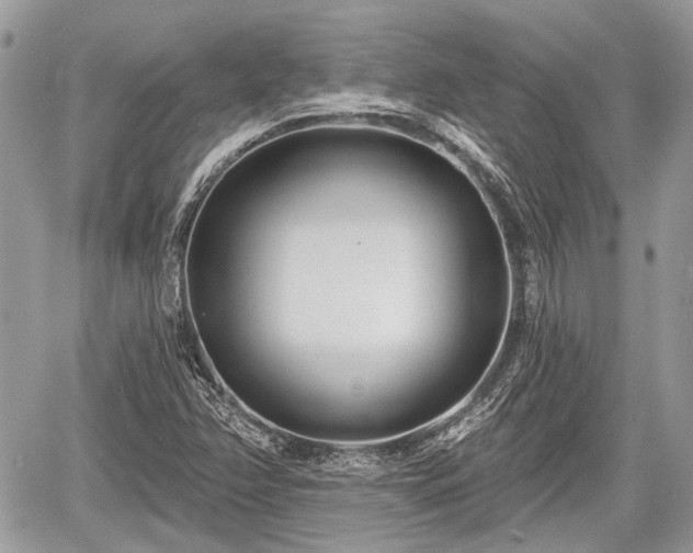 X0000060761358200511141220