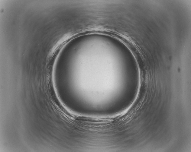 X0000060761359200511141220