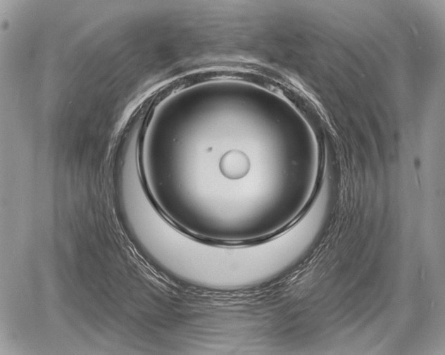 X0000060761360200511141220