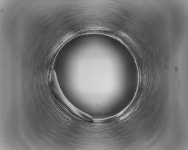 X0000060761361200511141220