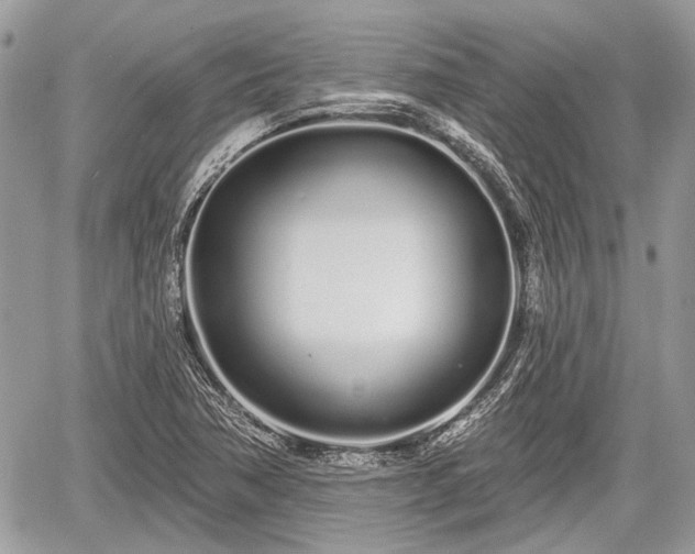 X0000060761362200511141220