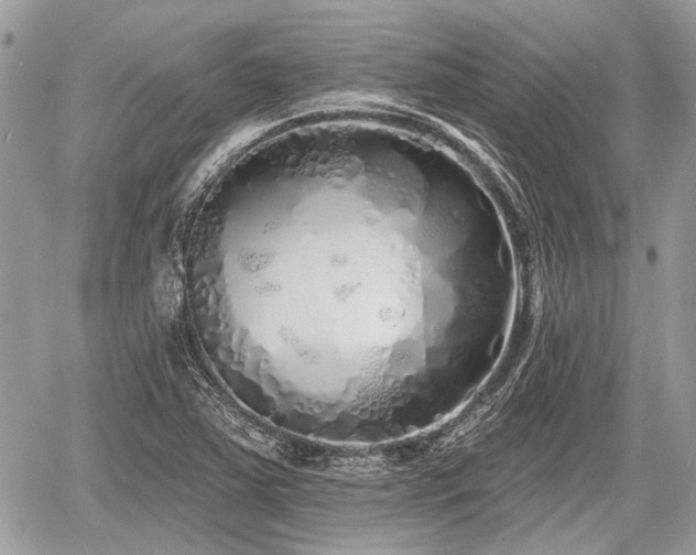 X0000060761363200511141220