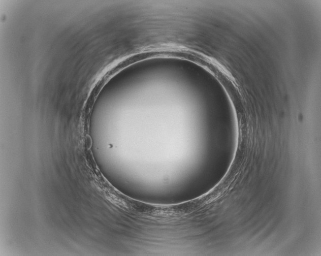 X0000060761364200511141220