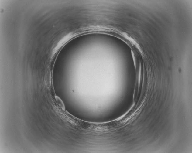 X0000060761365200511141220