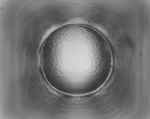 X0000060761366200511141220