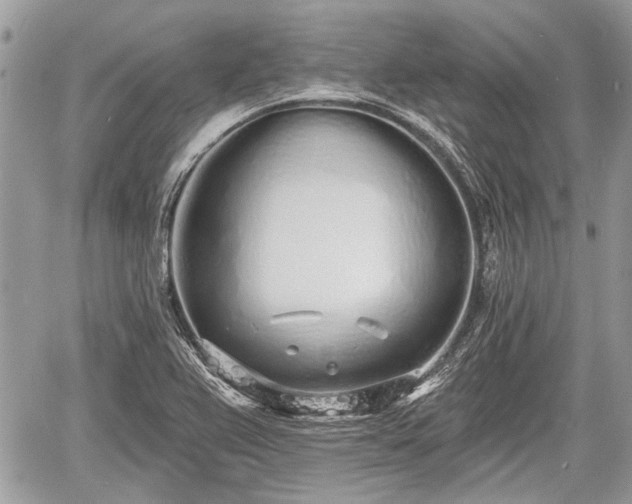 X0000060761367200511141220