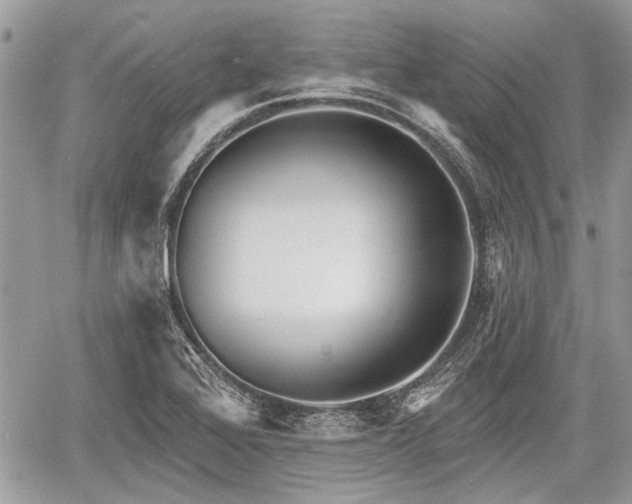 X0000060761368200511141220