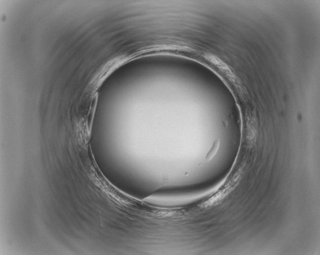 X0000060761369200511141220