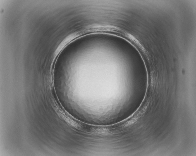 X0000060761370200511141220