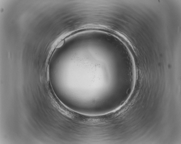 X0000060761371200511141220