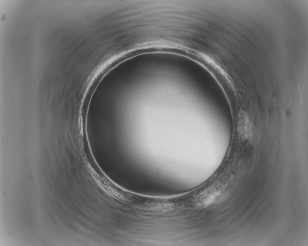 X0000060761372200511141220