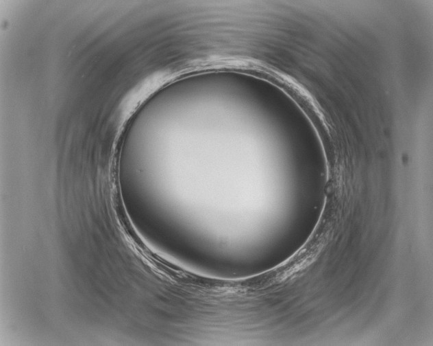 X0000060761373200511141220