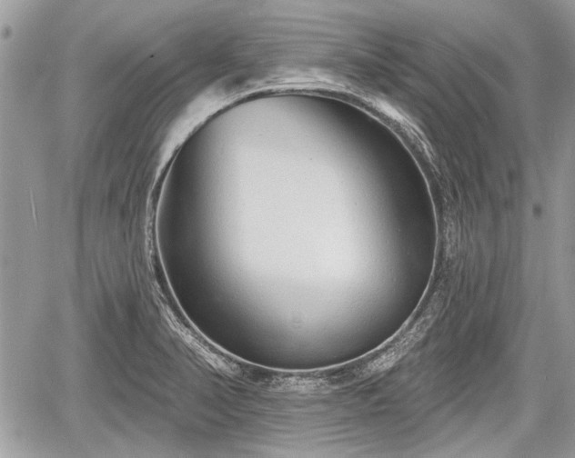 X0000060761374200511141220