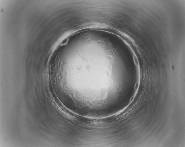 X0000060761375200511141220